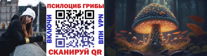 мориарти какой сайт  Кириши  Псилоцибиновые грибы MAGIC MUSHROOMS 