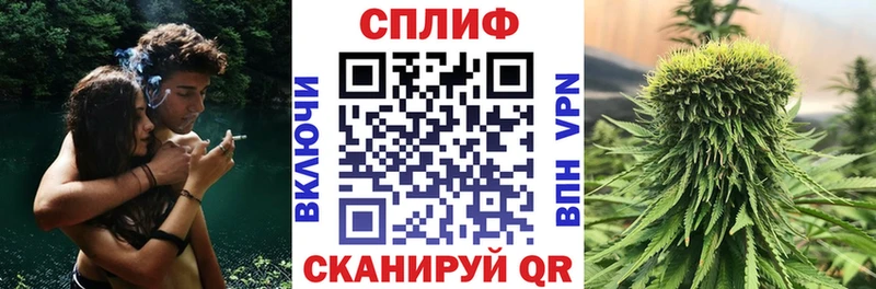 Конопля THC 21%  блэк спрут как войти  Кириши 